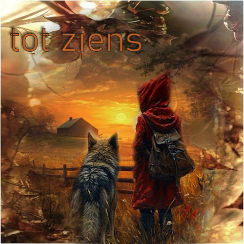35-37 tot ziens ant…