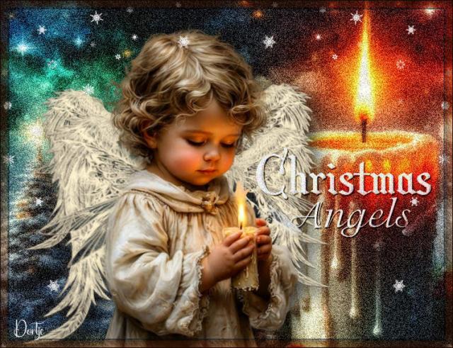 Dortje WISSEL 48-49…