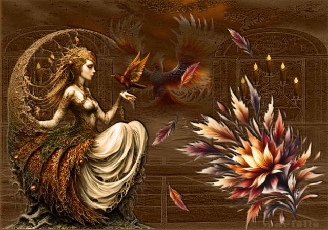 wissel tube 132026.…