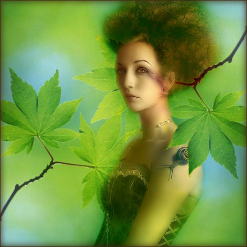 dortje clubset 11-1…